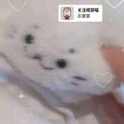 ヒメ日記 2026/08/27 09:01 投稿 こはる びくびくサークル五反田店