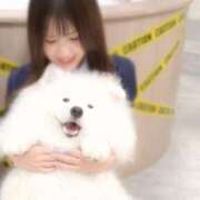 ヒメ日記 2025/11/19 10:31 投稿 姫乃らき ラブアイドル