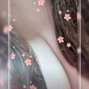 ヒメ日記 2025/09/27 10:30 投稿 なつめ モアグループ 土浦人妻花壇