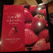 ヒメ日記 2025/09/24 15:07 投稿 あみ モアグループ宇都宮人妻花壇