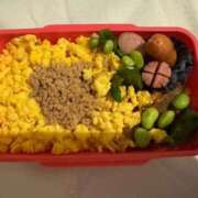 ヒメ日記 2025/11/26 13:09 投稿 うた アイドルドリーム