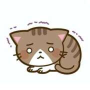 ヒメ日記 2025/12/12 12:29 投稿 うた アイドルドリーム