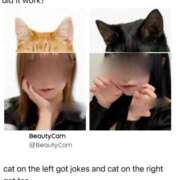 ヒメ日記 2026/04/06 20:32 投稿 うた アイドルドリーム