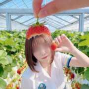 ヒメ日記 2026/04/10 15:29 投稿 うた アイドルドリーム