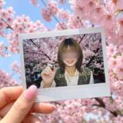 ヒメ日記 2026/04/14 14:09 投稿 うた アイドルドリーム