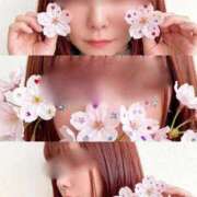 ヒメ日記 2026/04/17 11:59 投稿 うた アイドルドリーム