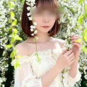 ヒメ日記 2026/04/17 23:09 投稿 うた アイドルドリーム