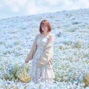 ヒメ日記 2026/04/27 09:39 投稿 うた アイドルドリーム