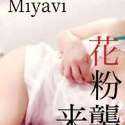 ヒメ日記 2025/10/16 13:38 投稿 みやび 西船人妻花壇