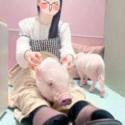 ヒメ日記 2025/10/28 10:50 投稿 こはる 優しいM性感 五反田