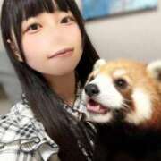 ヒメ日記 2025/11/07 19:30 投稿 こはる 優しいM性感 五反田