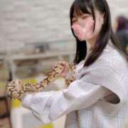 ヒメ日記 2025/11/25 22:57 投稿 こはる 優しいM性感 五反田