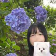 ヒメ日記 2025/12/28 16:57 投稿 こはる 優しいM性感 五反田