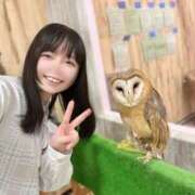 ヒメ日記 2026/01/02 12:07 投稿 こはる 優しいM性感 五反田