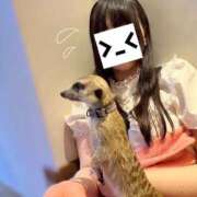 ヒメ日記 2026/01/15 11:29 投稿 こはる 優しいM性感 五反田