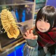 ヒメ日記 2026/01/15 15:57 投稿 こはる 優しいM性感 五反田