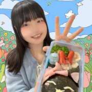 ヒメ日記 2026/01/29 15:30 投稿 こはる 優しいM性感 五反田