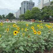 ヒメ日記 2025/09/25 17:34 投稿 【菊池 もか】 梅田ムチSpa女学院