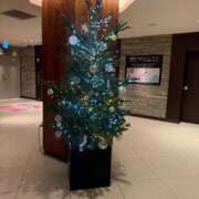 ヒメ日記 2025/11/28 01:04 投稿 【菊池 もか】 梅田ムチSpa女学院