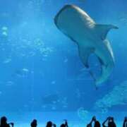 ヒメ日記 2025/12/12 09:34 投稿 【菊池 もか】 梅田ムチSpa女学院