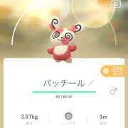 ヒメ日記 2025/12/12 17:04 投稿 【菊池 もか】 梅田ムチSpa女学院