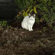 ヒメ日記 2025/12/22 20:34 投稿 【菊池 もか】 梅田ムチSpa女学院