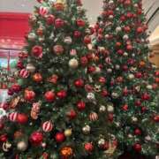 ヒメ日記 2025/12/24 19:46 投稿 【菊池 もか】 梅田ムチSpa女学院