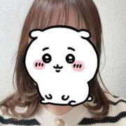 ヒメ日記 2026/01/30 12:04 投稿 【菊池 もか】 梅田ムチSpa女学院