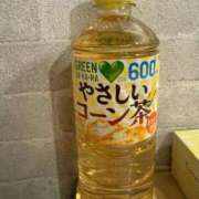 ヒメ日記 2026/01/30 15:04 投稿 【菊池 もか】 梅田ムチSpa女学院