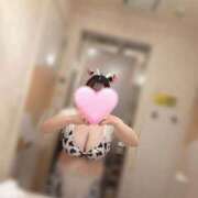 ヒメ日記 2026/03/19 14:44 投稿 【菊池 もか】 梅田ムチSpa女学院