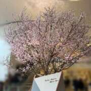 ヒメ日記 2026/03/27 09:44 投稿 【菊池 もか】 梅田ムチSpa女学院