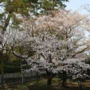 ヒメ日記 2026/04/02 18:44 投稿 【菊池 もか】 梅田ムチSpa女学院