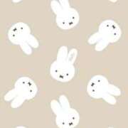 ヒメ日記 2026/04/03 11:04 投稿 【菊池 もか】 梅田ムチSpa女学院