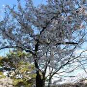 ヒメ日記 2026/04/09 08:54 投稿 【菊池 もか】 梅田ムチSpa女学院