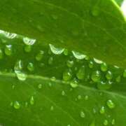 ヒメ日記 2025/09/30 17:50 投稿 しぐれ 熟女の風俗最終章 相模原店