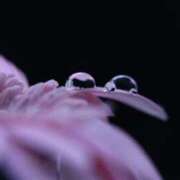 ヒメ日記 2025/10/01 22:40 投稿 しぐれ 熟女の風俗最終章 相模原店