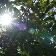 ヒメ日記 2025/10/12 12:20 投稿 しぐれ 熟女の風俗最終章 相模原店