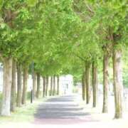 ヒメ日記 2025/10/25 10:20 投稿 しぐれ 熟女の風俗最終章 相模原店