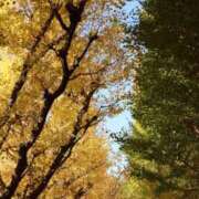 ヒメ日記 2025/10/31 07:20 投稿 しぐれ 熟女の風俗最終章 相模原店