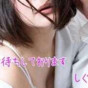 ヒメ日記 2025/11/29 08:34 投稿 しぐれ 熟女の風俗最終章 相模原店