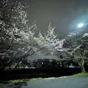 しぐれ ごめんなさい…… 熟女の風俗最終章 相模原店