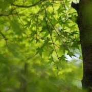 ヒメ日記 2025/10/27 15:20 投稿 しぐれ 熟女の風俗最終章 町田店