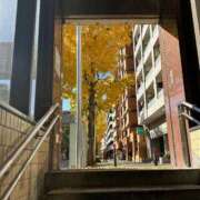 ヒメ日記 2025/10/29 17:18 投稿 しぐれ 熟女の風俗最終章 町田店