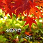 ヒメ日記 2025/11/24 08:20 投稿 しぐれ 熟女の風俗最終章 町田店
