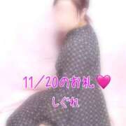 ヒメ日記 2025/11/24 10:20 投稿 しぐれ 熟女の風俗最終章 町田店