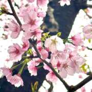 ヒメ日記 2026/03/22 20:59 投稿 しぐれ 熟女の風俗最終章 町田店