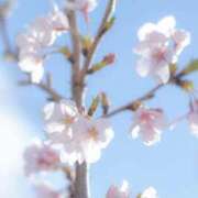 ヒメ日記 2026/03/26 20:30 投稿 しぐれ 熟女の風俗最終章 町田店