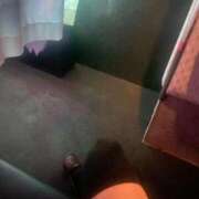 ヒメ日記 2025/11/14 21:28 投稿 はづき パイレーツ