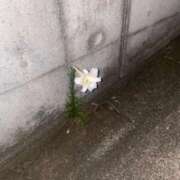 ヒメ日記 2025/11/15 20:18 投稿 はづき パイレーツ