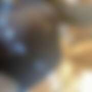 ヒメ日記 2025/11/30 00:26 投稿 はづき パイレーツ